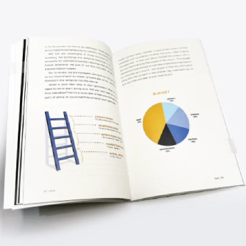 Behaviors of Disciple-Making Leaders interior spread with a ladder illustration and a budget pie chart infographic