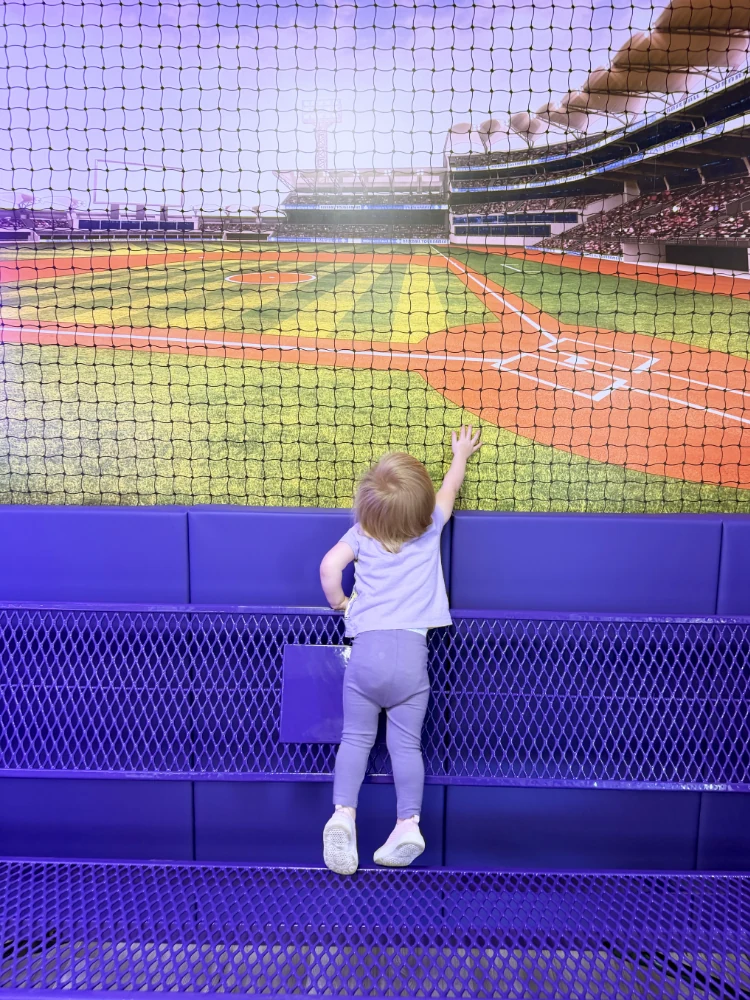 Close-up of the custom dugout bench with purple padding, chain-link fence vinyl wainscot, yellow safety stripe, and the stadium photo mural behind