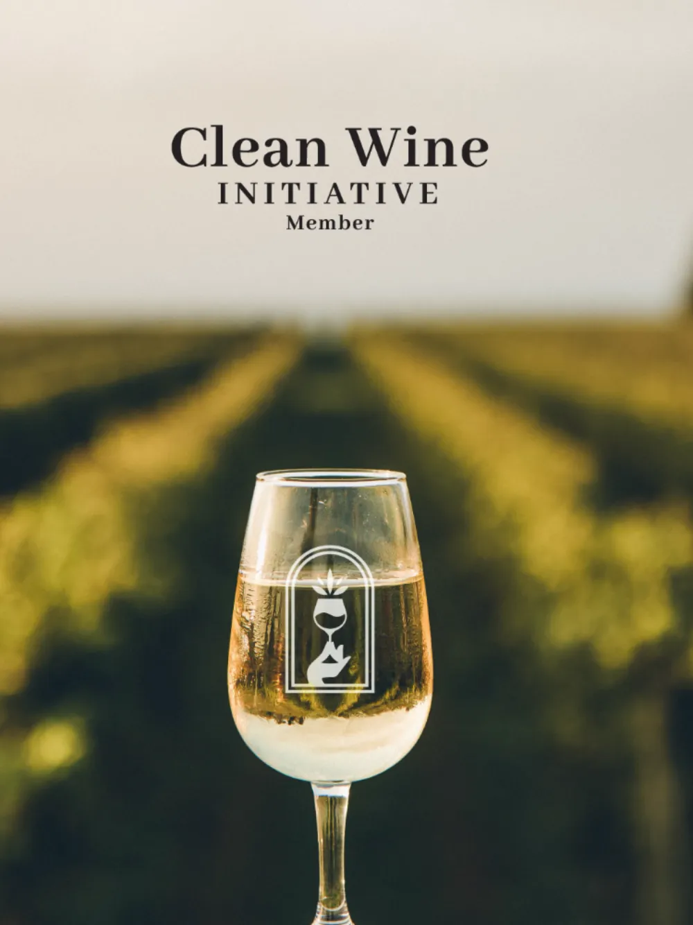 Clean Wine Initiative Member promotional graphic with a wine glass and the engraved Clean Wine logo against a blurred vineyard